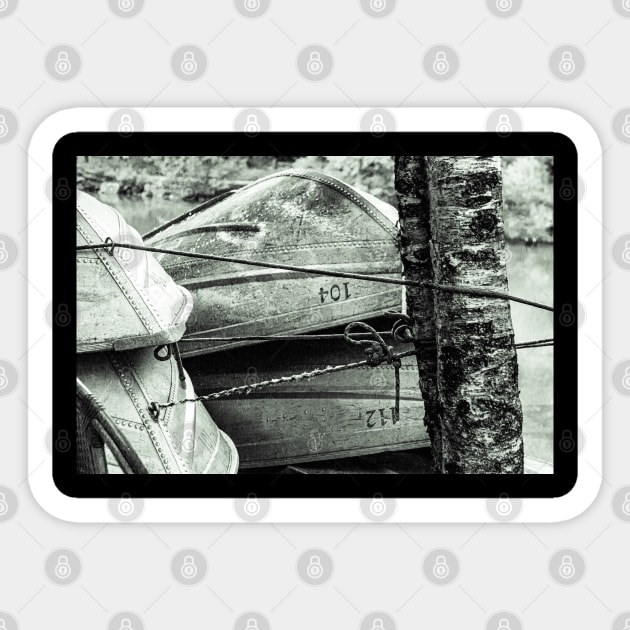 Tethered Rowboats Sticker by ShootFirstNYC